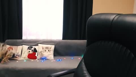 Luisa online show from 11/14/25, 08:46