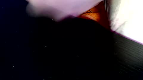 Snapshot of timer08230823 chatting on 04/19/26, 07:51 timer08230823 online show from 04/19/26, 07:51