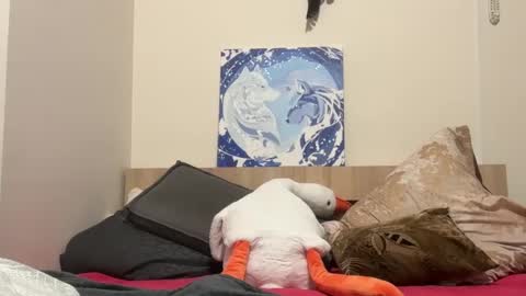 Wizard online show from 02/09/25, 08:02