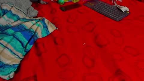 west tina online show from 12/15/24, 11:31