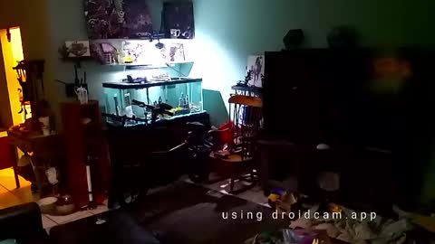 Snapshot of tinalover4u2 chatting on 11/17/25, 06:35 tinalover4u2 online show from 11/17/25, 06:35