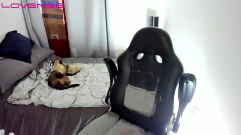 Tina online show from 12/12/24, 09:26