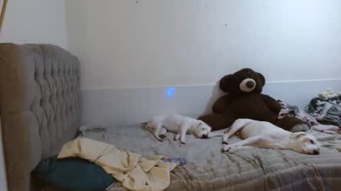 Snapshot of tini_mix206927 chatting on 04/18/26, 08:31 tini_mix206927 online show from 04/18/26, 08:31