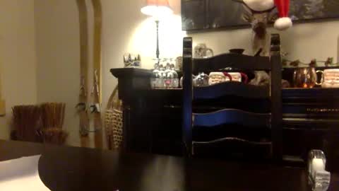 tinyandtatted420 online show from 12/18/25, 01:22