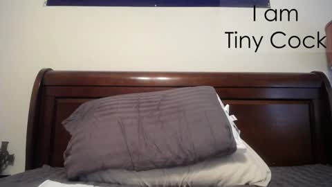 Snapshot of tinycock_1979 chatting on 02/20/25, 02:35 tinycock_1979 online show from 02/20/25, 02:35