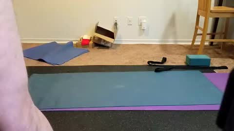 Snapshot of tjstanley1 chatting on 01/13/25, 06:16 Joe online show from 01/13/25, 06:16