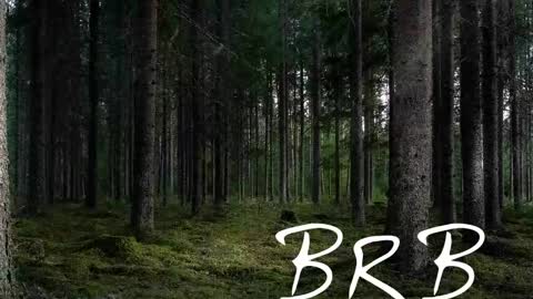 Tim online show from 11/02/25, 07:16