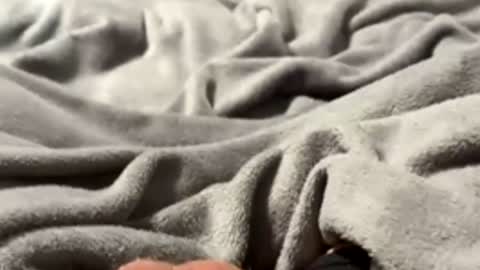 tmue online show from 02/27/26, 01:33