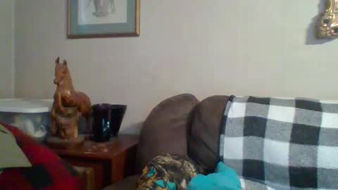 Snapshot of tnvols1968 chatting on 10/29/25, 09:49 Vols online show from 10/29/25, 09:49