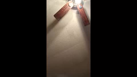 Vols online show from 01/11/26, 01:27