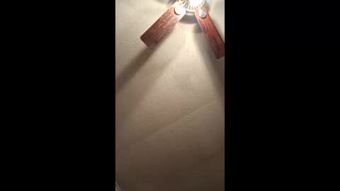 Vols online show from 02/03/26, 12:54