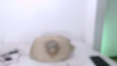 Snapshot of toadboys chatting on 01/23/25, 08:57 David online show from 01/23/25, 08:57