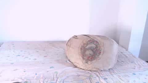 Snapshot of toadboys chatting on 02/01/25, 12:05 David online show from 02/01/25, 12:05