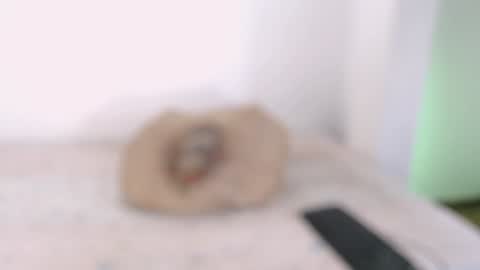 Snapshot of toadboys chatting on 02/03/25, 09:07 David online show from 02/03/25, 09:07