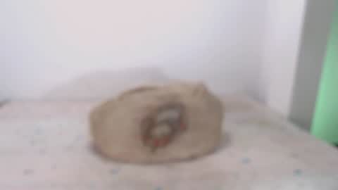 Snapshot of toadboys chatting on 02/07/25, 09:16 David online show from 02/07/25, 09:16