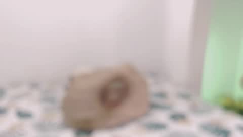 Snapshot of toadboys chatting on 02/10/25, 11:36 David online show from 02/10/25, 11:36