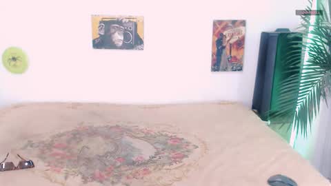 Snapshot of toadboys chatting on 09/15/25, 07:08 David online show from 09/15/25, 07:08