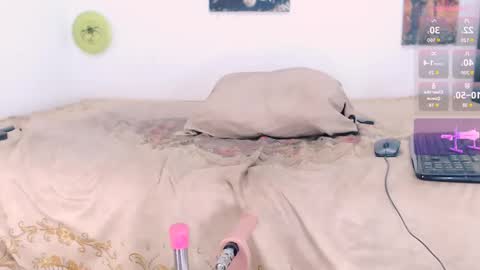 Snapshot of toadboys chatting on 09/18/25, 08:27 David online show from 09/18/25, 08:27