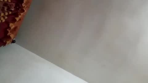 Snapshot of tobe557337 chatting on 01/31/25, 08:43 tobe557337 online show from 01/31/25, 08:43