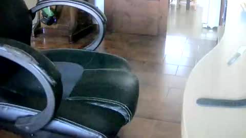 Tobiko online show from 12/12/24, 01:28