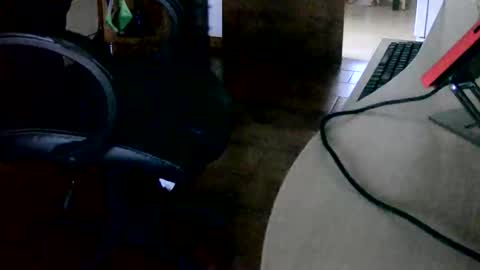 Snapshot of tobikoyuzu chatting on 11/15/25, 03:30 Tobiko online show from 11/15/25, 03:30