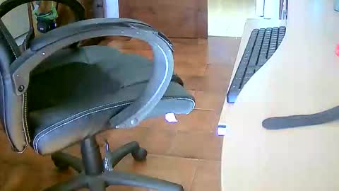 Snapshot of tobikoyuzu chatting on 11/29/25, 01:58 Tobiko online show from 11/29/25, 01:58