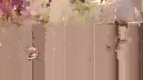 Toby Obeys online show from 10/27/25, 03:32