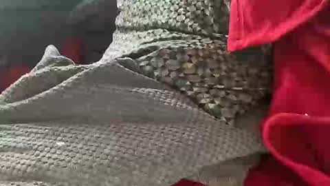 Snapshot of tom6644 chatting on 01/09/25, 01:35 Tom online show from 01/09/25, 01:35