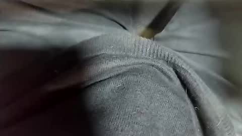 Snapshot of tomas_cum69 chatting on 02/12/25, 10:37 Tomas online show from 02/12/25, 10:37