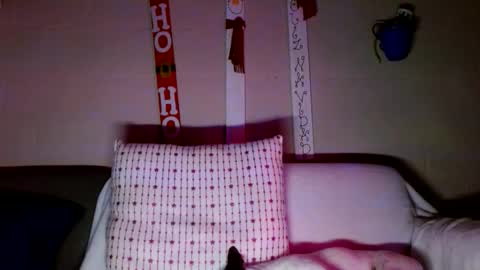 tomas gerauld. make me happy with 10000 tokens online show from 12/30/24, 03:14