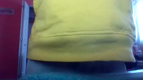 tomcat4848 online show from 02/15/25, 07:06