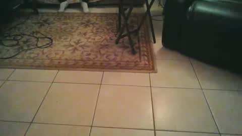 Snapshot of tomcatsawyer chatting on 03/20/26, 07:02 sirmuggsalot online show from 03/20/26, 07:02