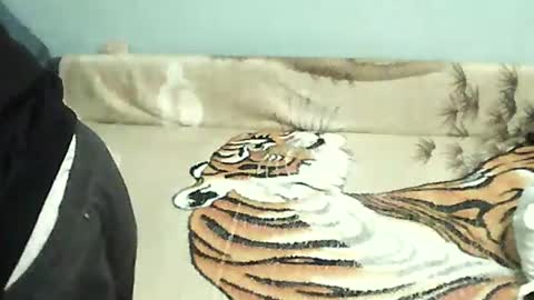 Snapshot of tomekpl30show chatting on 12/31/24, 05:18 Tomek online show from 12/31/24, 05:18