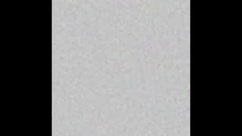 tommy and sophie online show from 12/10/24, 11:19