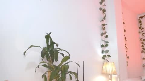 Snapshot of tommyfoxboy chatting on 03/05/25, 05:18 Tommy Foxboy online show from 03/05/25, 05:18