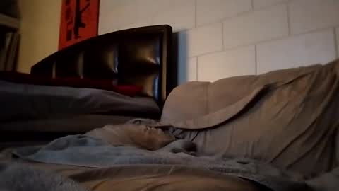 Snapshot of tomthebomb347 chatting on 09/14/25, 10:20 tomthebomb347 online show from 09/14/25, 10:20