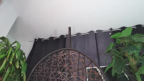 tony online show from 02/12/26, 12:16