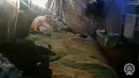 Snapshot of tootall1991420 chatting on 10/26/25, 01:06 tootall1991420 online show from 10/26/25, 01:06