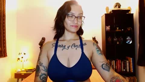 Snapshot of toothyy chatting on 02/01/25, 12:51 toothyy online show from 02/01/25, 12:51