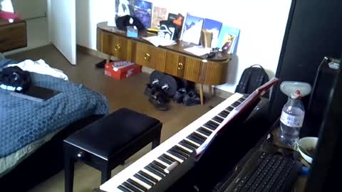 tootsybird69 online show from 06/16/26, 05:59