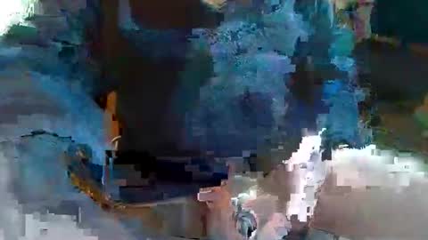 Topcat127 online show from 03/01/25, 07:08