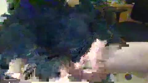 Topcat127 online show from 03/05/25, 06:23