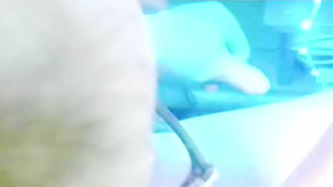 Snapshot of tornne chatting on 04/02/26, 12:14 tornne online show from 04/02/26, 12:14