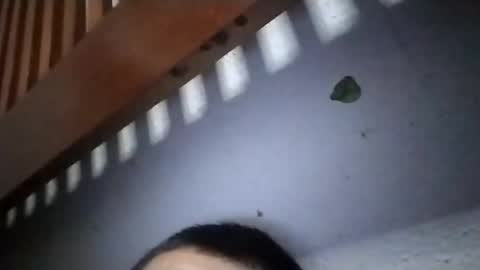 Snapshot of torresabel762 chatting on 04/19/26, 10:14 torresabel762 online show from 04/19/26, 10:14