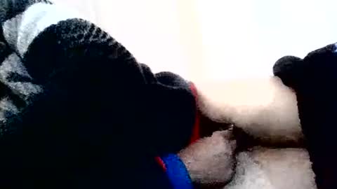 torresurionasantos online show from 02/02/26, 05:22