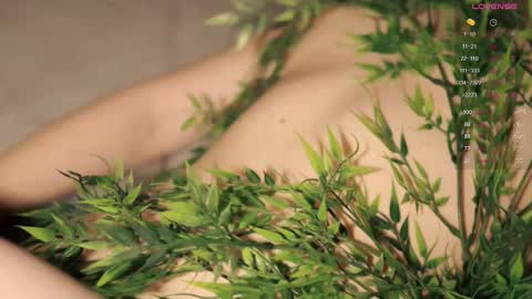 Toshi online show from 11/03/25, 01:01