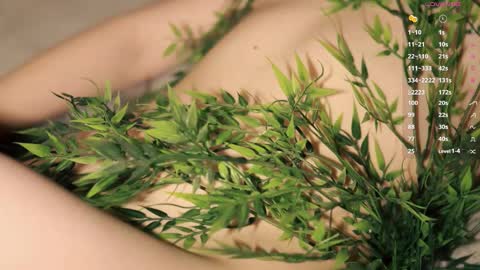 Toshi online show from 12/01/25, 01:05