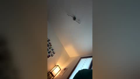 Snapshot of totalslut_82 chatting on 12/15/25, 02:32 totalslut_82 online show from 12/15/25, 02:32