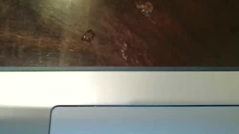 totxxx335 online show from 12/15/25, 08:57