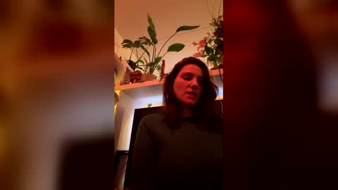 GoToyShop online show from 02/19/26, 10:06